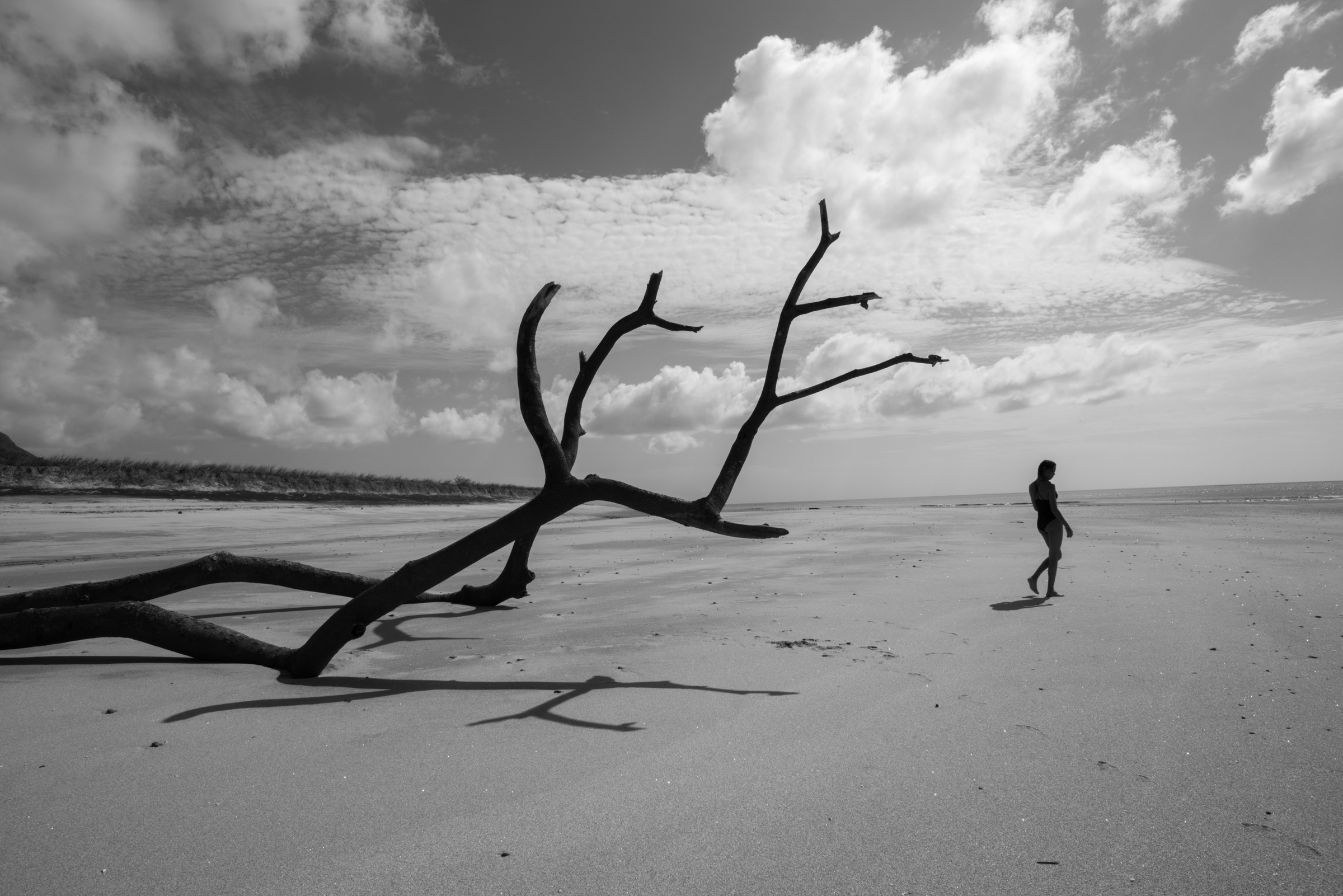 Fotografía en blanco y negro de una playa extensa y casi desierta. En primer plano, un gran tronco seco yace sobre la arena, con sus ramas desnudas extendiéndose hacia el cielo. A lo lejos, una mujer camina sola cerca de la orilla, bajo un cielo amplio cubierto de nubes.